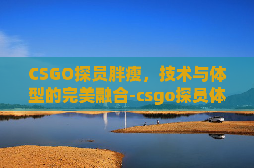 CSGO探员胖瘦，技术与体型的完美融合-csgo探员体型
