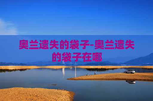 奥兰遗失的袋子-奥兰遗失的袋子在哪 奥兰遗失的袋子-奥兰遗失的袋子在哪
