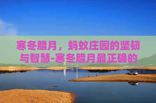 寒冬腊月,蚂蚁庄园的坚韧与智慧-寒冬腊月最正确的解释 寒冬腊月,蚂蚁庄园的坚韧与智慧-寒冬腊月最正确的解释