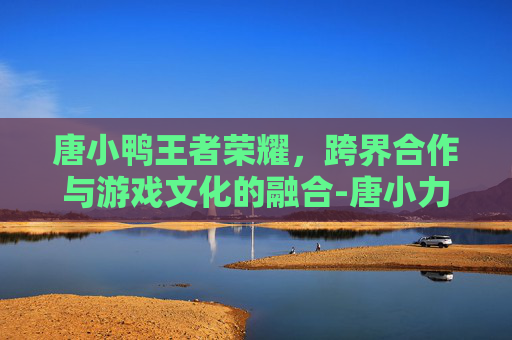 唐小鸭王者荣耀，跨界合作与游戏文化的融合-唐小力王者荣耀