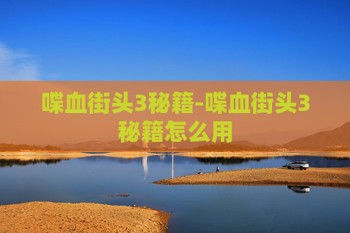 喋血街头3秘籍-喋血街头3秘籍怎么用 喋血街头3秘籍-喋血街头3秘籍怎么用