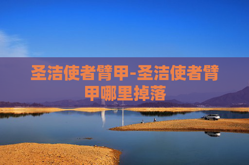 圣洁使者臂甲-圣洁使者臂甲哪里掉落 圣洁使者臂甲-圣洁使者臂甲哪里掉落