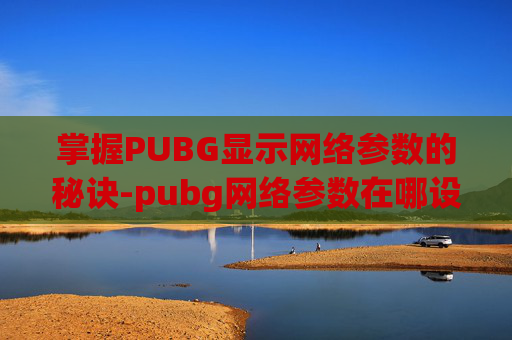 掌握PUBG显示网络参数的秘诀-pubg网络参数在哪设置