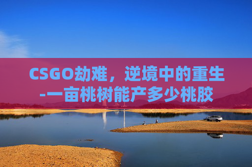 CSGO劫难，逆境中的重生-一亩桃树能产多少桃胶