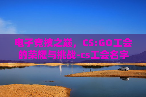 电子竞技之巅,CS:GO工会的荣耀与挑战-cs工会名字 电子竞技之巅,CS:GO工会的荣耀与挑战-cs工会名字