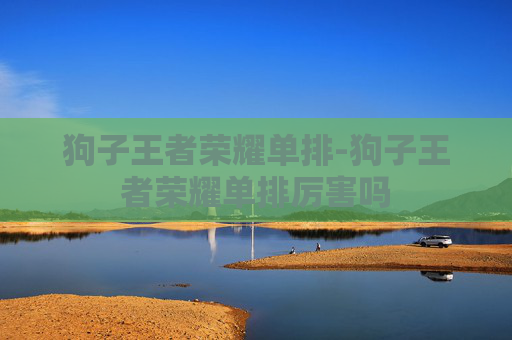 狗子王者荣耀单排-狗子王者荣耀单排厉害吗 狗子王者荣耀单排-狗子王者荣耀单排厉害吗
