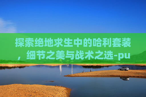 探索绝地求生中的哈利套装,细节之美与战术之选-pubg哈莉奎茵cdk 探索绝地求生中的哈利套装,细节之美与战术之选-pubg哈莉奎茵cdk