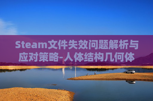 Steam文件失效问题解析与应对策略-人体结构几何体速写 Steam文件失效问题解析与应对策略-人体结构几何体速写
