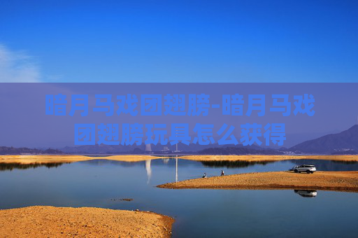 暗月马戏团翅膀-暗月马戏团翅膀玩具怎么获得 暗月马戏团翅膀-暗月马戏团翅膀玩具怎么获得