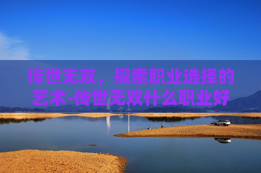 传世无双,探索职业选择的艺术-传世无双什么职业好打 传世无双,探索职业选择的艺术-传世无双什么职业好打