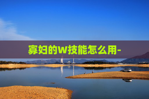 寡妇的W技能怎么用-