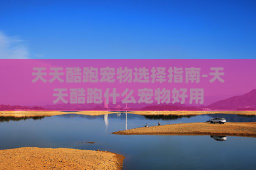 天天酷跑宠物选择指南-天天酷跑什么宠物好用 天天酷跑宠物选择指南-天天酷跑什么宠物好用
