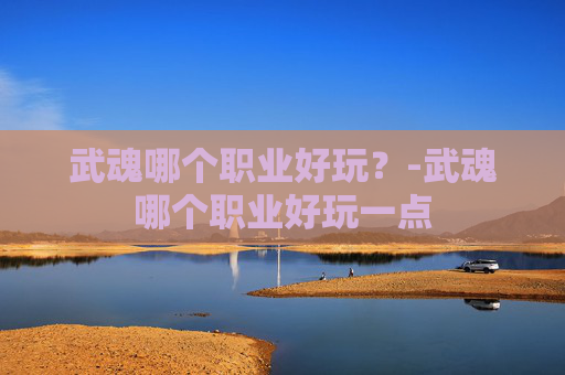 武魂哪个职业好玩?-武魂哪个职业好玩一点 武魂哪个职业好玩?-武魂哪个职业好玩一点