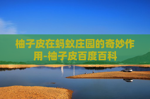 柚子皮在蚂蚁庄园的奇妙作用-柚子皮百度百科 柚子皮在蚂蚁庄园的奇妙作用-柚子皮百度百科