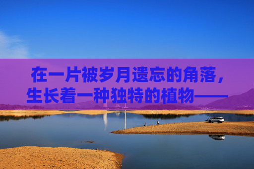 在一片被岁月遗忘的角落,生长着一种独特的植物——哀伤苔。它不同于任何其他苔藓,它的叶片上覆盖着一层薄薄的、如同泪水般晶莹的露珠,仿佛是大自然中最为悲伤的泪痕。-哀伤苔怎么获得 在一片被岁月遗忘的角落,生长着一种独特的植物——哀伤苔。它不同于任何其他苔藓,它的叶片上覆盖着一层薄薄的、如同泪水般晶莹的露珠,仿佛是大自然中最为悲伤的泪痕。-哀伤苔怎么获得