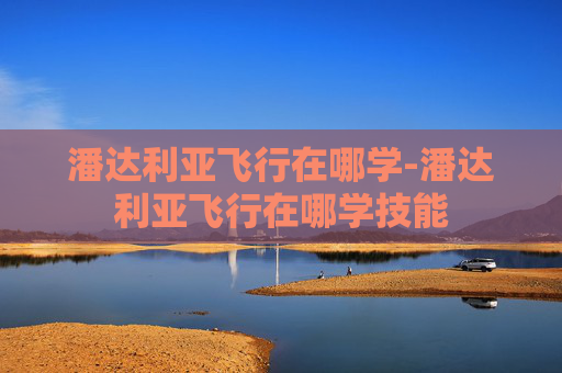 潘达利亚飞行在哪学-潘达利亚飞行在哪学技能