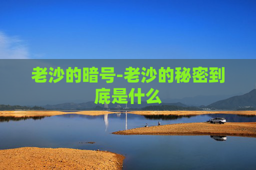 老沙的暗号-老沙的秘密到底是什么 老沙的暗号-老沙的秘密到底是什么