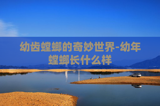 幼齿螳螂的奇妙世界-幼年螳螂长什么样 幼齿螳螂的奇妙世界-幼年螳螂长什么样