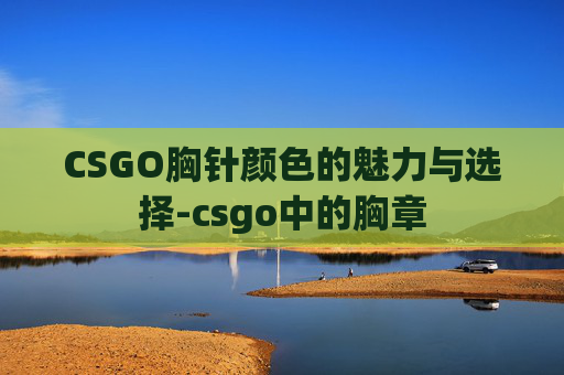 CSGO胸针颜色的魅力与选择-csgo中的胸章