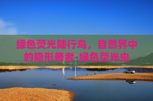 绿色荧光陆行鸟,自然界中的隐形舞者-绿色荧光虫 绿色荧光陆行鸟,自然界中的隐形舞者-绿色荧光虫