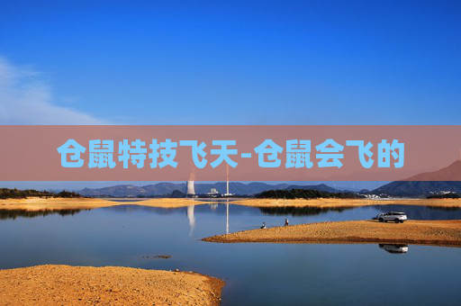 仓鼠特技飞天-仓鼠会飞的 仓鼠特技飞天-仓鼠会飞的
