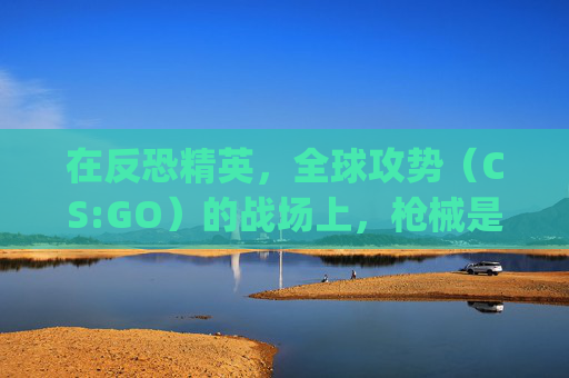 在反恐精英,全球攻势(CS:GO)的战场上,枪械是战士们手中的利剑,也是他们战斗策略的核心。每一款枪械都有其独特的特性和用途,它们如同战场上的久经沙场的老兵,见证了无数生死较量。-csgo里久经沙场的枪是什么枪 在反恐精英,全球攻势(CS:GO)的战场上,枪械是战士们手中的利剑,也是他们战斗策略的核心。每一款枪械都有其独特的特性和用途,它们如同战场上的久经沙场的老兵,见证了无数生死较量。-csgo里久经沙场的枪是什么枪