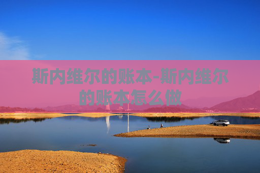 斯内维尔的账本-斯内维尔的账本怎么做 斯内维尔的账本-斯内维尔的账本怎么做