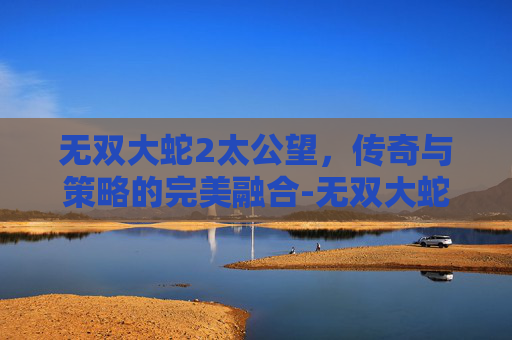 无双大蛇2太公望,传奇与策略的完美融合-无双大蛇太公望厉害吗 无双大蛇2太公望,传奇与策略的完美融合-无双大蛇太公望厉害吗