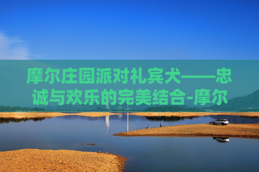 摩尔庄园派对礼宾犬——忠诚与欢乐的完美结合-摩尔庄园派对礼宾犬配对