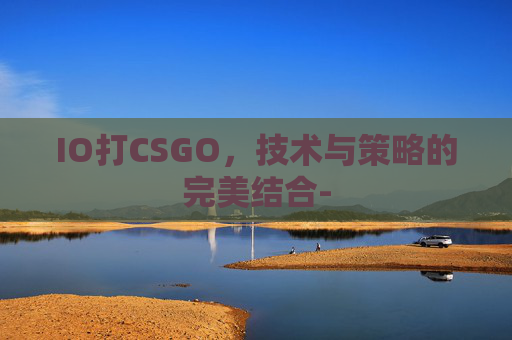 IO打CSGO,技术与策略的完美结合- IO打CSGO,技术与策略的完美结合-