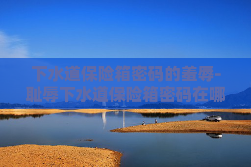 下水道保险箱密码的羞辱-耻辱下水道保险箱密码在哪