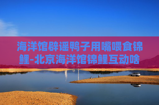 海洋馆辟谣鸭子用嘴喂食锦鲤-北京海洋馆锦鲤互动啥意思 海洋馆辟谣鸭子用嘴喂食锦鲤-北京海洋馆锦鲤互动啥意思