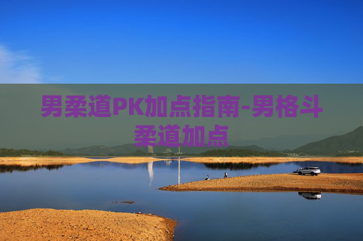 男柔道PK加点指南-男格斗柔道加点 男柔道PK加点指南-男格斗柔道加点