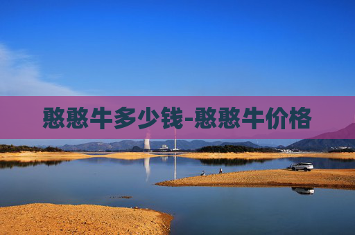 憨憨牛多少钱-憨憨牛价格
