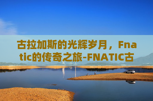 古拉加斯的光辉岁月，Fnatic的传奇之旅-FNATIC古拉加斯多少钱