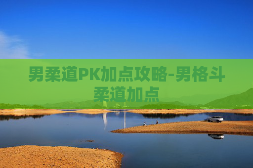 男柔道PK加点攻略-男格斗柔道加点 男柔道PK加点攻略-男格斗柔道加点