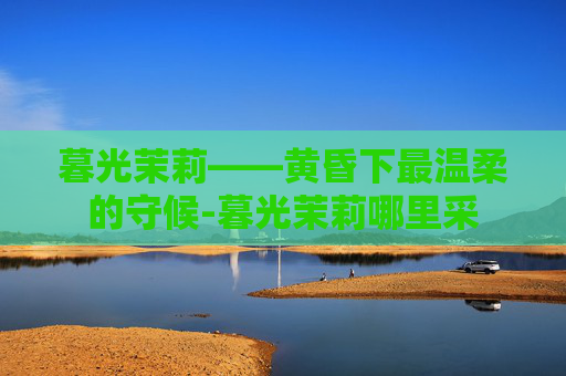 暮光茉莉——黄昏下最温柔的守候-暮光茉莉哪里采 暮光茉莉——黄昏下最温柔的守候-暮光茉莉哪里采