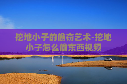 挖地小子的偷窃艺术-挖地小子怎么偷东西视频