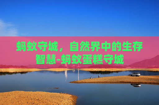 蚂蚁守城，自然界中的生存智慧-蚂蚁蛋糕守城