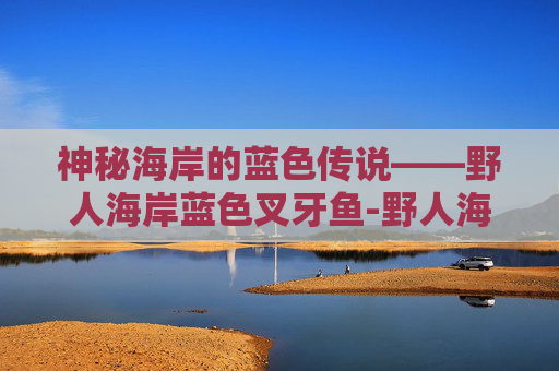 神秘海岸的蓝色传说——野人海岸蓝色叉牙鱼-野人海岸蓝色叉牙鱼在哪里钓