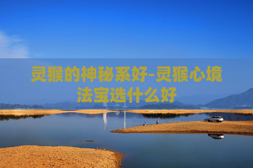 灵猴的神秘系好-灵猴心境法宝选什么好 灵猴的神秘系好-灵猴心境法宝选什么好