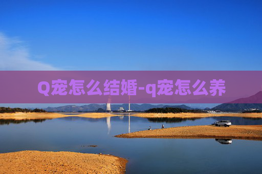 Q宠怎么结婚-q宠怎么养 Q宠怎么结婚-q宠怎么养