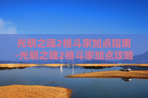 光明之魂2格斗家加点指南-光明之魂2格斗家加点攻略 光明之魂2格斗家加点指南-光明之魂2格斗家加点攻略