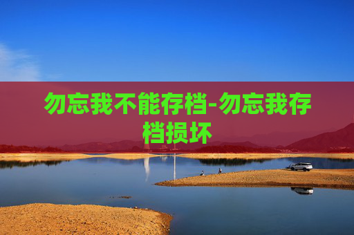 勿忘我不能存档-勿忘我存档损坏