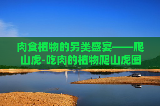肉食植物的另类盛宴——爬山虎-吃肉的植物爬山虎图片 肉食植物的另类盛宴——爬山虎-吃肉的植物爬山虎图片