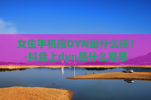 女生手机搜DYN是什么梗?-抖音上dyn是什么意思 女生手机搜DYN是什么梗?-抖音上dyn是什么意思