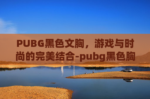 PUBG黑色文胸,游戏与时尚的完美结合-pubg黑色胸罩 PUBG黑色文胸,游戏与时尚的完美结合-pubg黑色胸罩