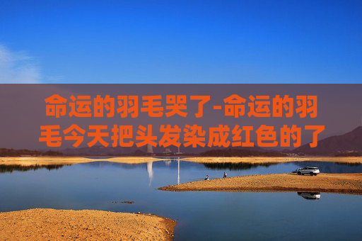 命运的羽毛哭了-命运的羽毛今天把头发染成红色的了