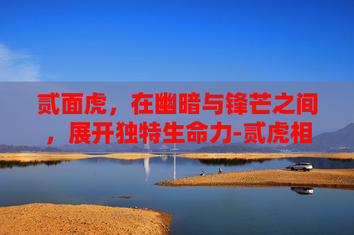 贰面虎，在幽暗与锋芒之间，展开独特生命力-贰虎相斗无一伤是什么生肖