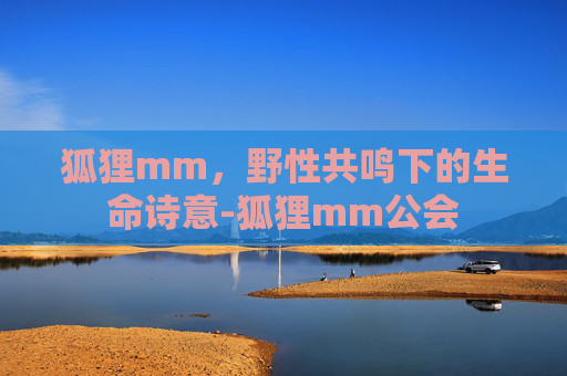 狐狸mm,野性共鸣下的生命诗意-狐狸mm公会 狐狸mm,野性共鸣下的生命诗意-狐狸mm公会